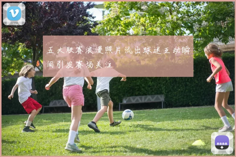 五大联赛浪漫照片流出球迷互动瞬间引发赛场关注